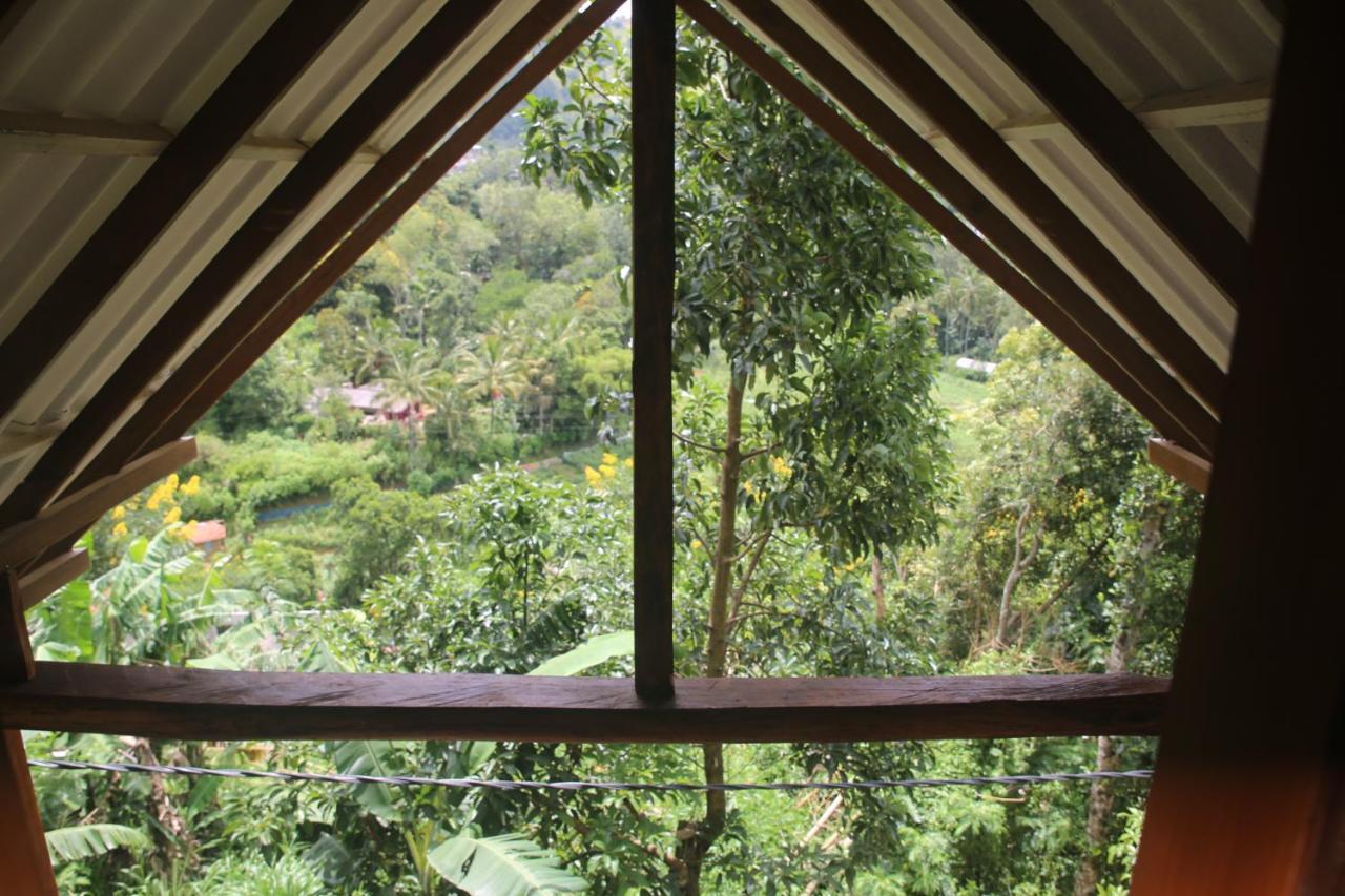 إيلا Green Cloud Villa المظهر الخارجي الصورة